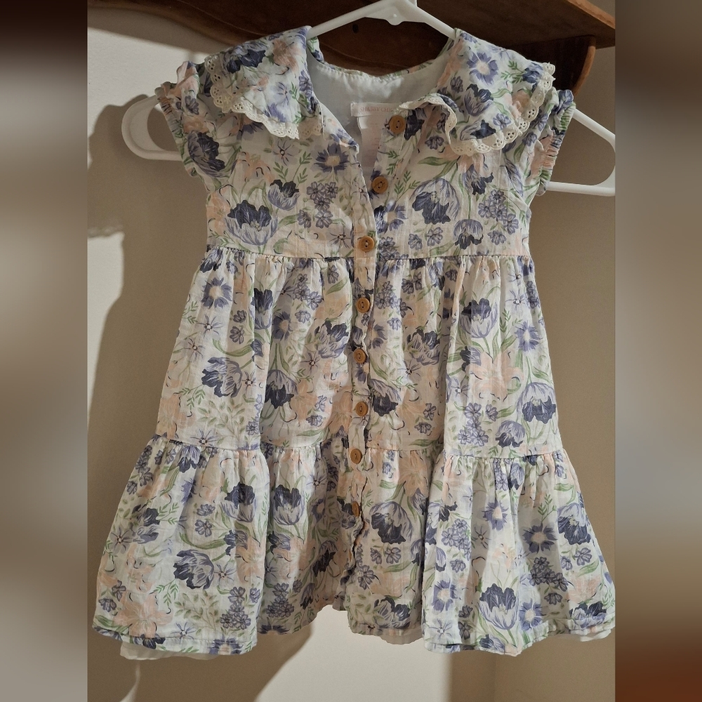 Shabby-Chic Floral Button-Up Dress